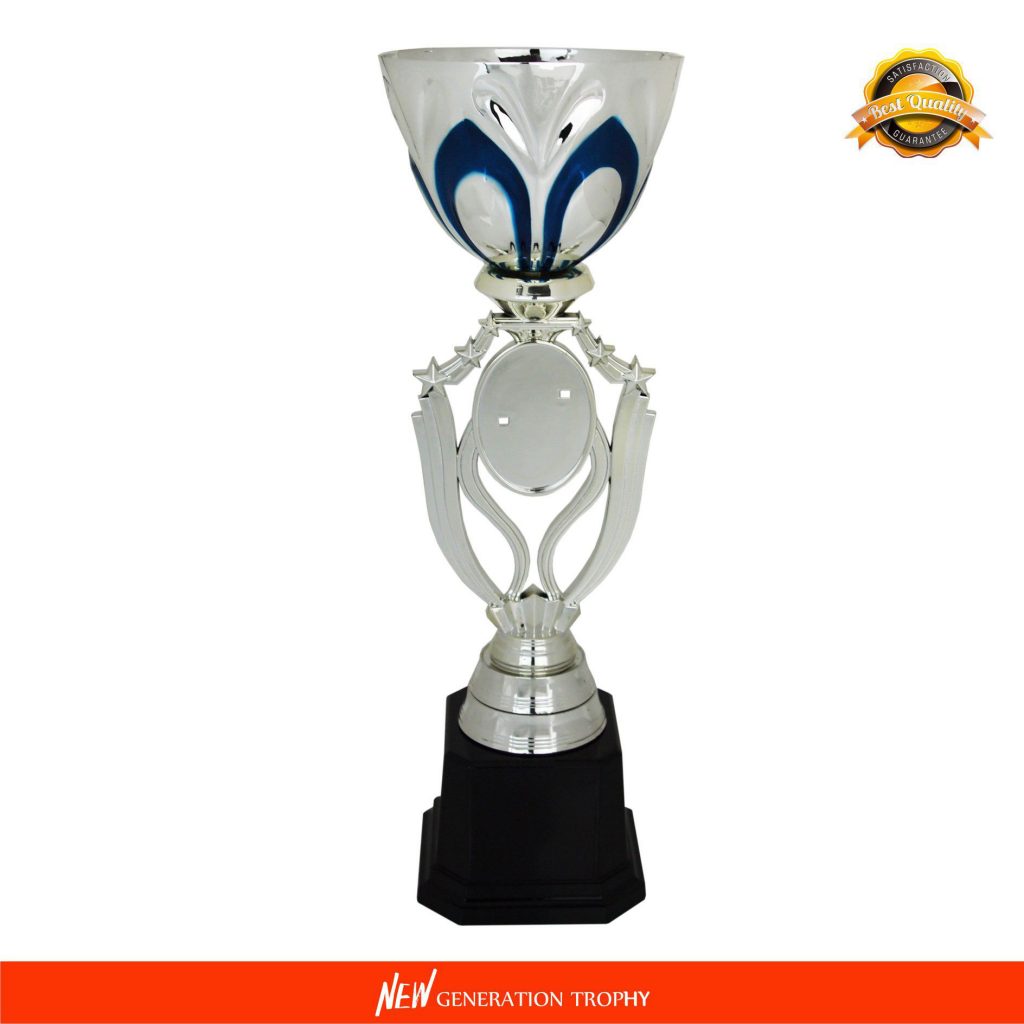 4032 Metal Bowl Trophy iTrophy